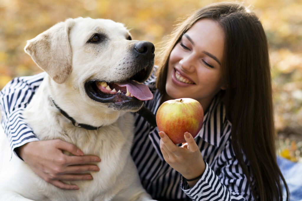 Alimentação natural vs ração: qual o melhor para o seu cão? close up woman with her puppy park